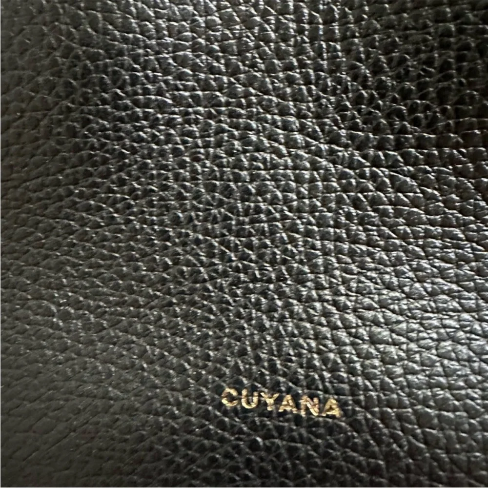 Cuyana Tall Easy Zipper Tote Black with Tall Easy Tote Insert - Picture 11 of 14